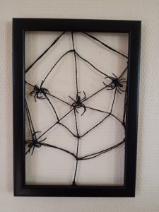 cadre araignées